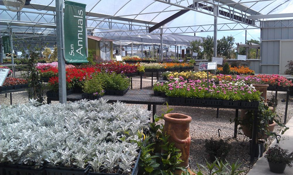 The annuals greenhouse