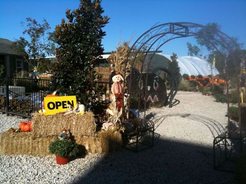 Open sign at the patch arch (fall 2013)