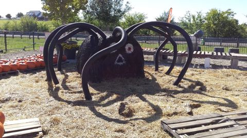 Giant spider made from farm equipment (fall 2013)