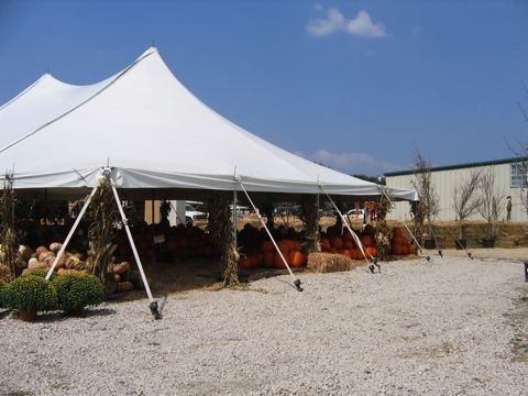 The big white tent full of pumpkins (fall 2008)